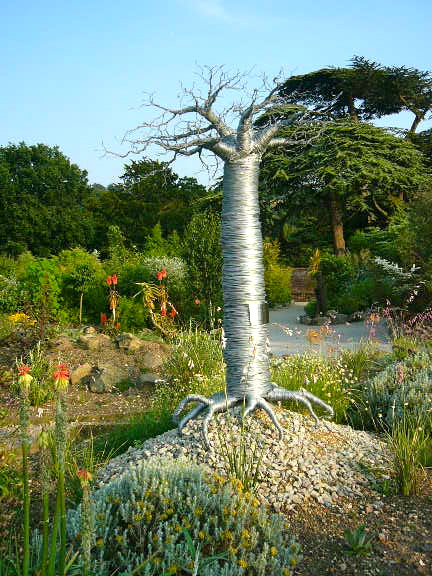Проволочное дерево баобаба в Мировом саду растений